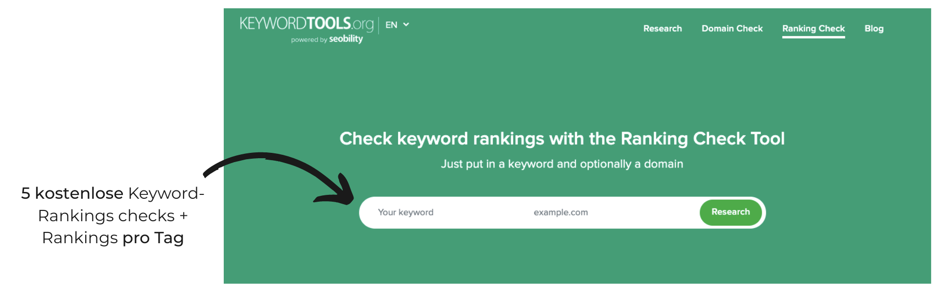 keyword-ranking-mit-domain-check