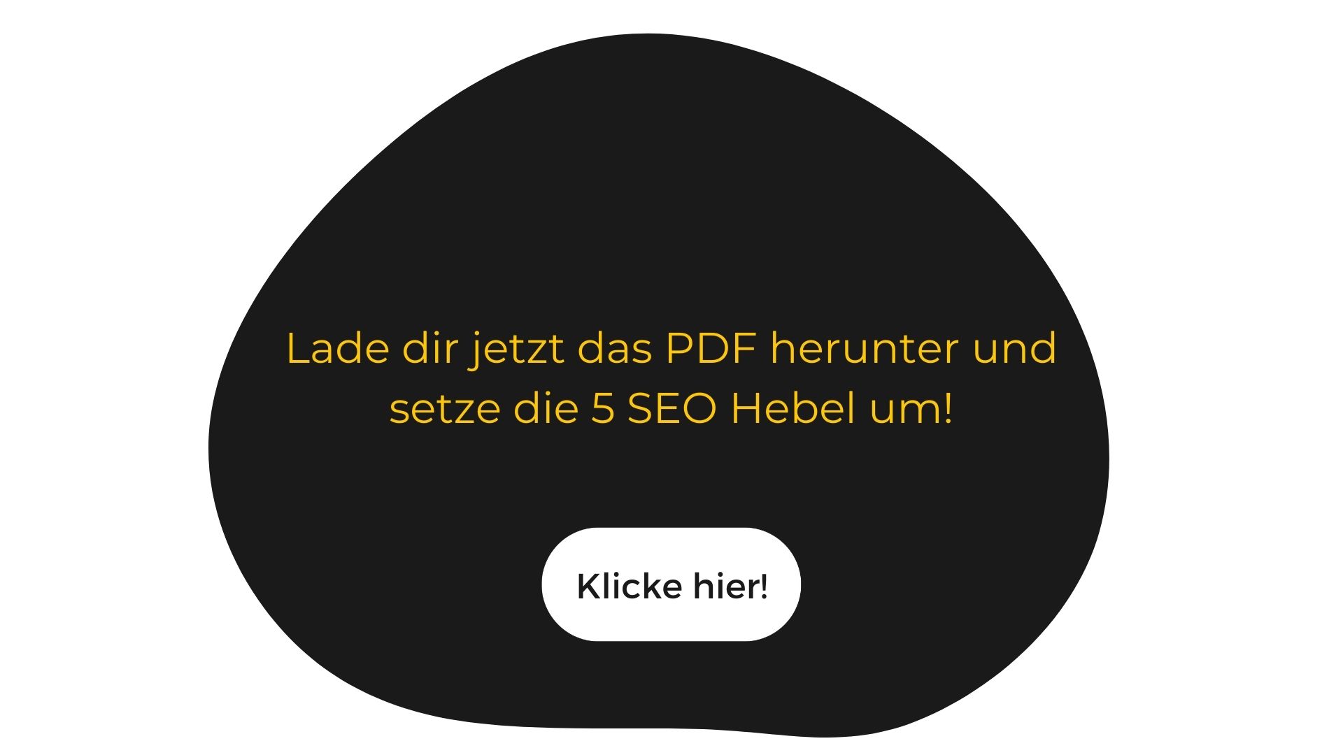 pdf-für-seo-hebel-nach-den-leaks